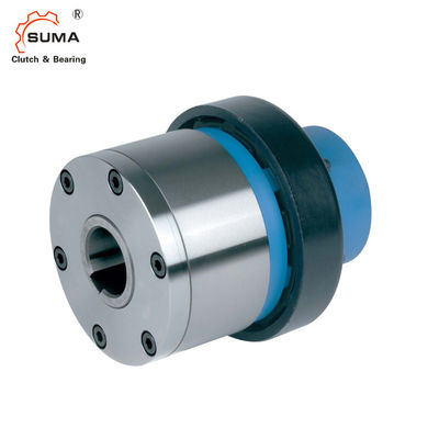 ESG2 ওভাররানিং GCr15 ইন্ডেক্সিং ফ্রিহুইল ক্লাচ